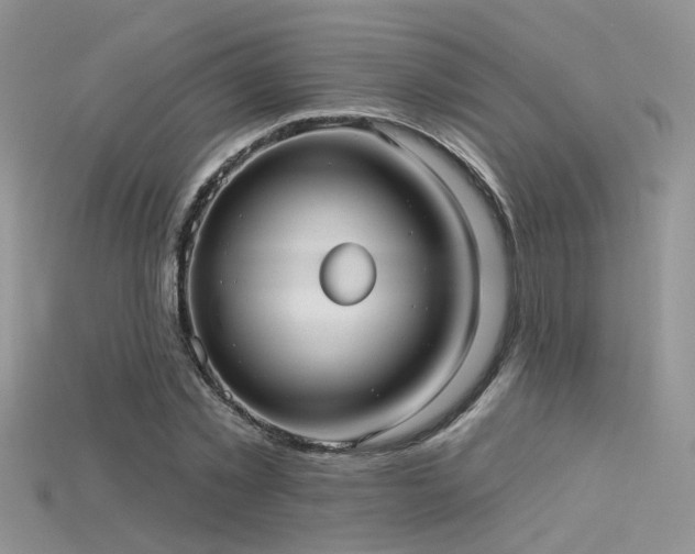 X0000115670781200911121152