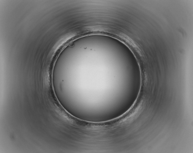 X0000115670782200911121152