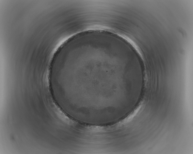 X0000115670783200911121152