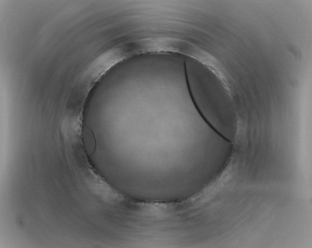 X0000115670785200911121152