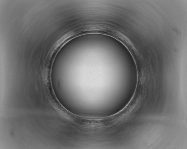 X0000115670786200911121152