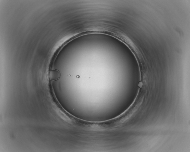 X0000115670787200911121152