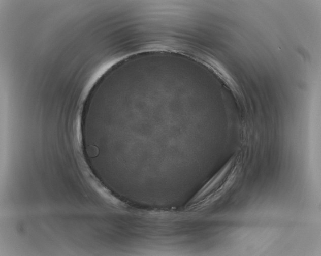 X0000115670788200911121152