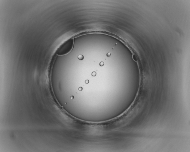 X0000115670789200911121152