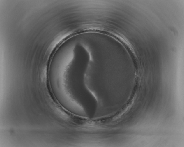 X0000115670790200911121152