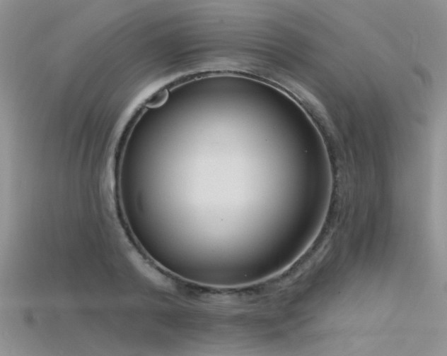 X0000115670792200911121152