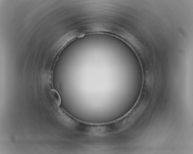 X0000115670793200911121152