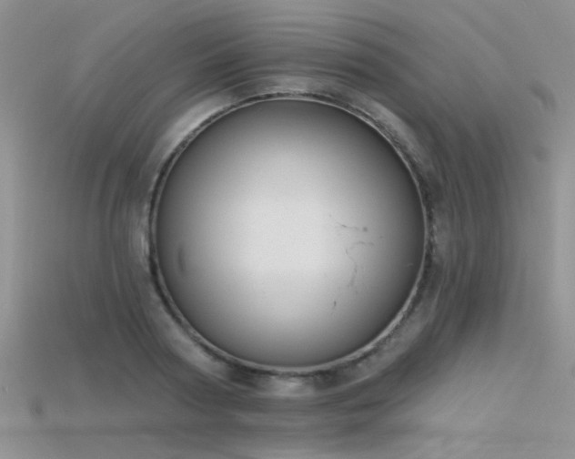 X0000115670794200911121152