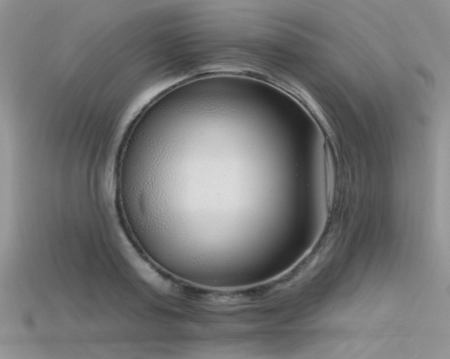 X0000115670795200911121152
