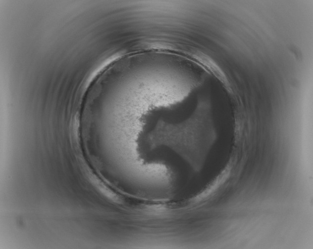 X0000115670798200911121152