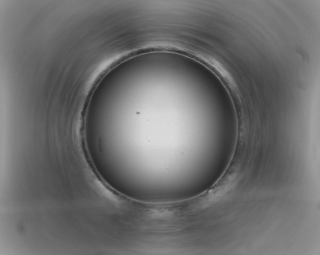 X0000115670799200911121152