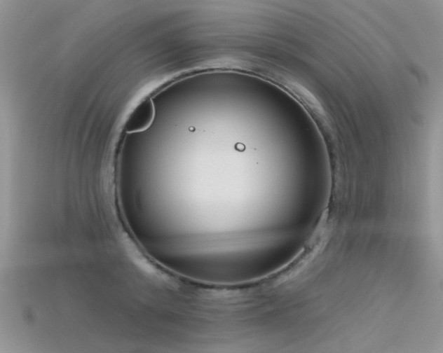 X0000115670800200911121152