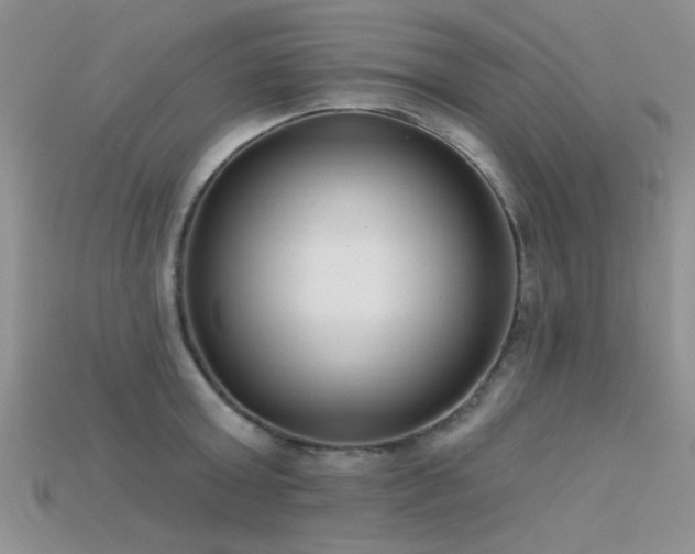 X0000115670803200911121152