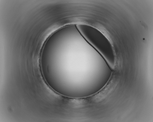 X0000115670805200911121152