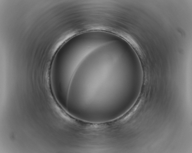 X0000115670806200911121152