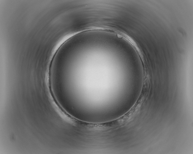 X0000115670811200911121151