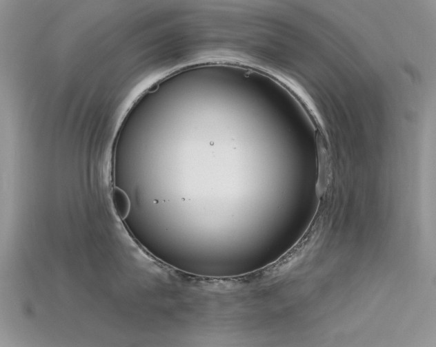 X0000115670815200911121151