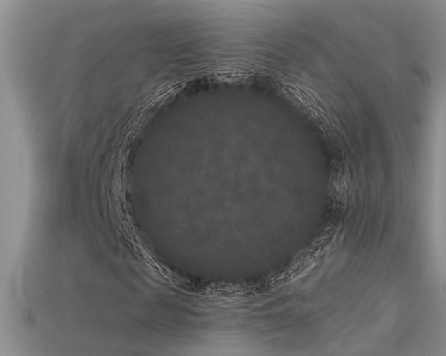 X0000115670817200911121151