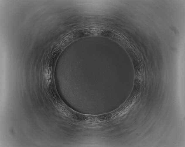 X0000115670818200911121151