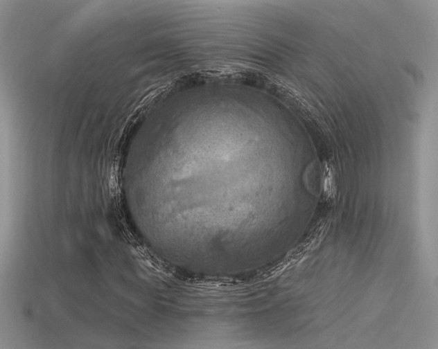 X0000115670819200911121151