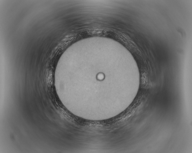 X0000115670820200911121151
