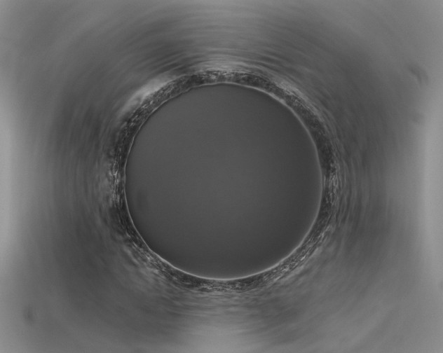 X0000115670822200911121151