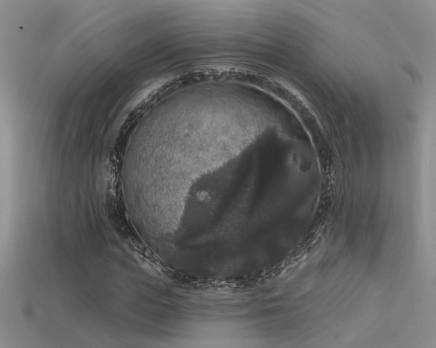 X0000115670823200911121151