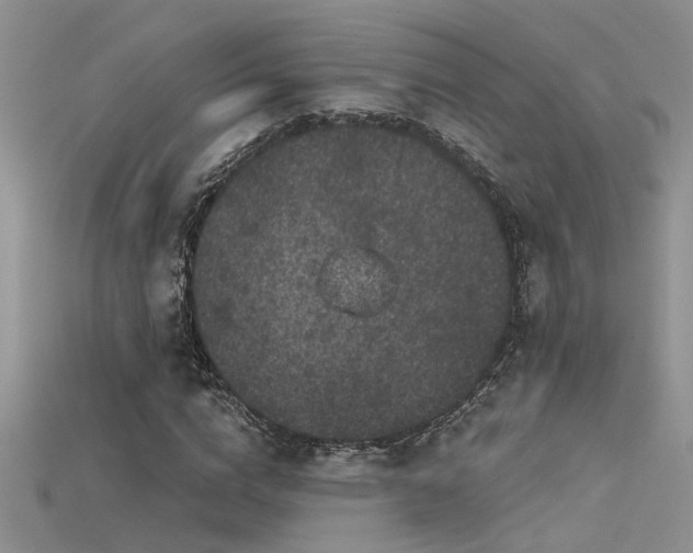 X0000115670824200911121151