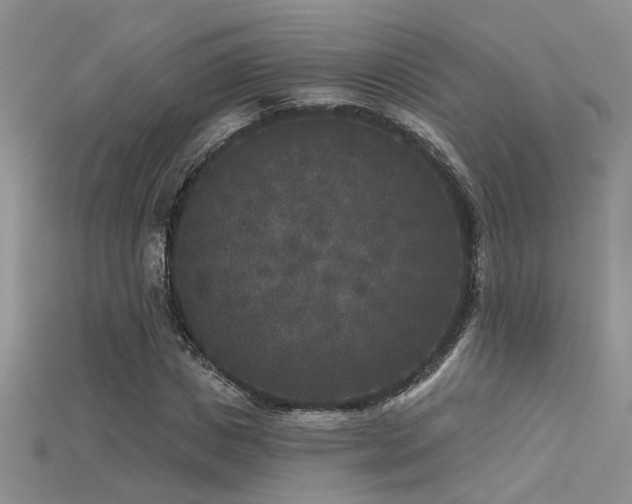 X0000115670825200911121151