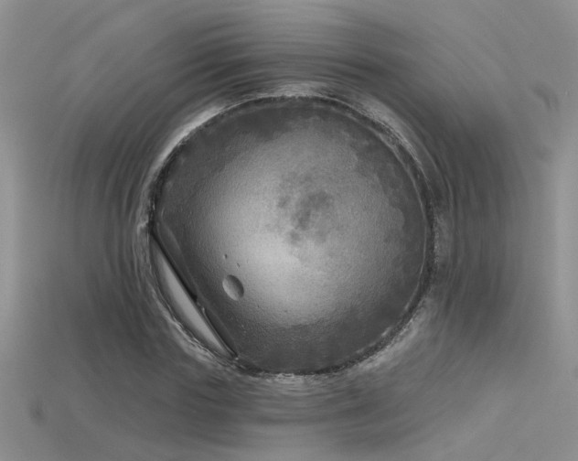 X0000115670827200911121151