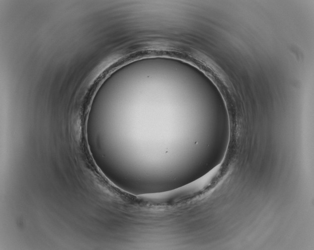 X0000115670829200911121151