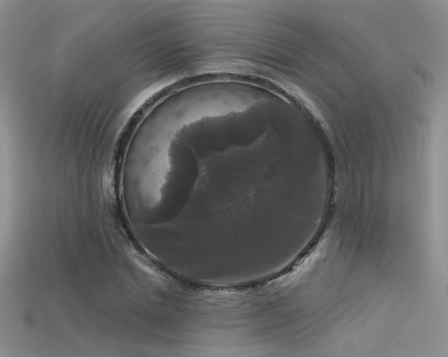 X0000115670830200911121151