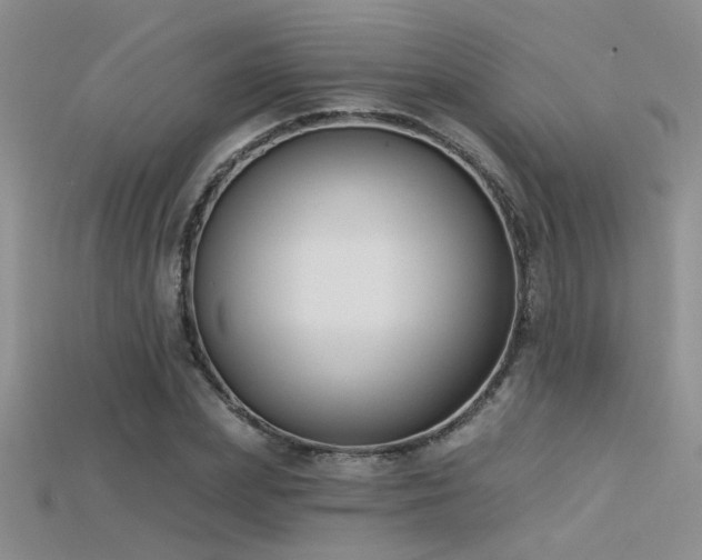 X0000115670831200911121151