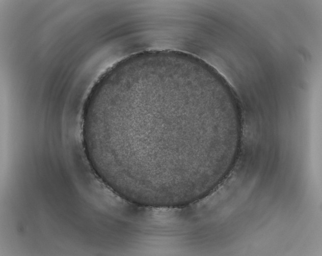X0000115670832200911121151