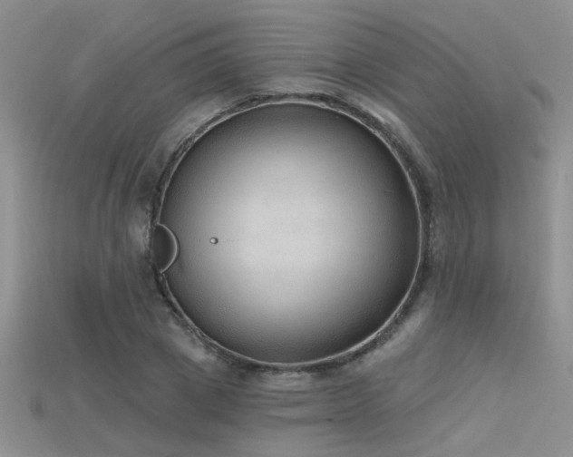 X0000115670833200911121151