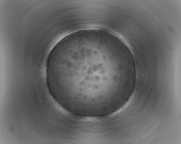 X0000115670835200911121151