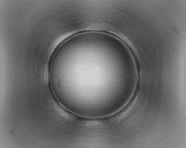 X0000115670838200911121151