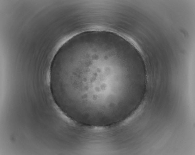 X0000115670839200911121151