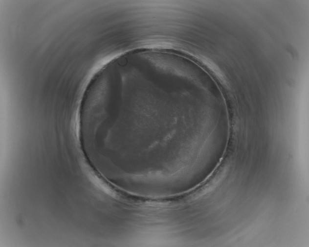 X0000115670840200911121151