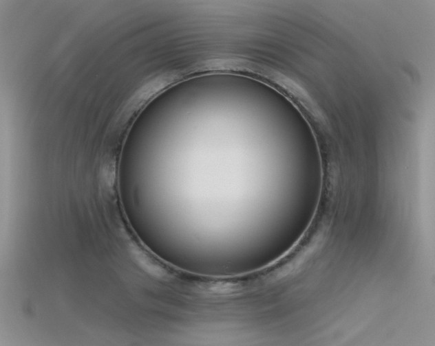 X0000115670841200911121151
