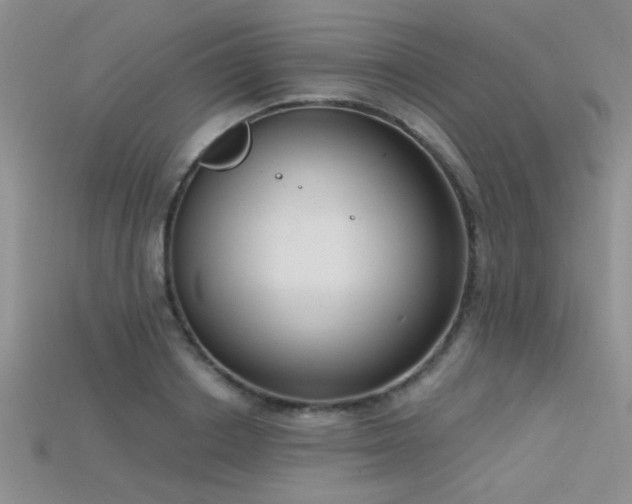 X0000115670842200911121151