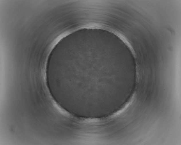X0000115670845200911121151