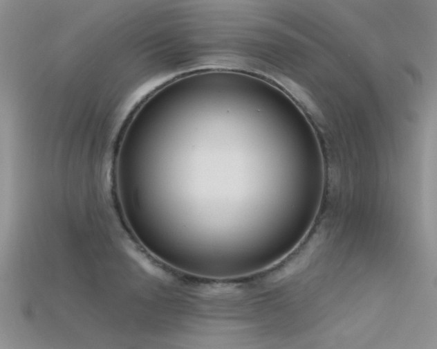X0000115670846200911121151