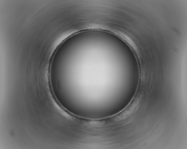 X0000115670847200911121151