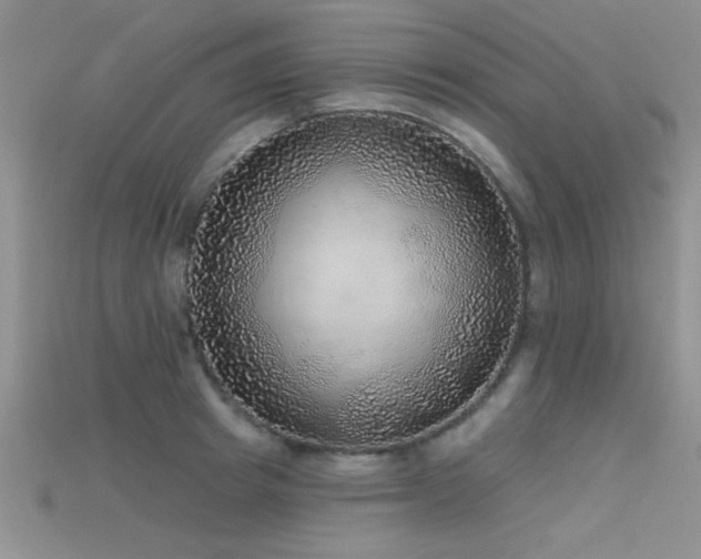X0000115670849200911121151
