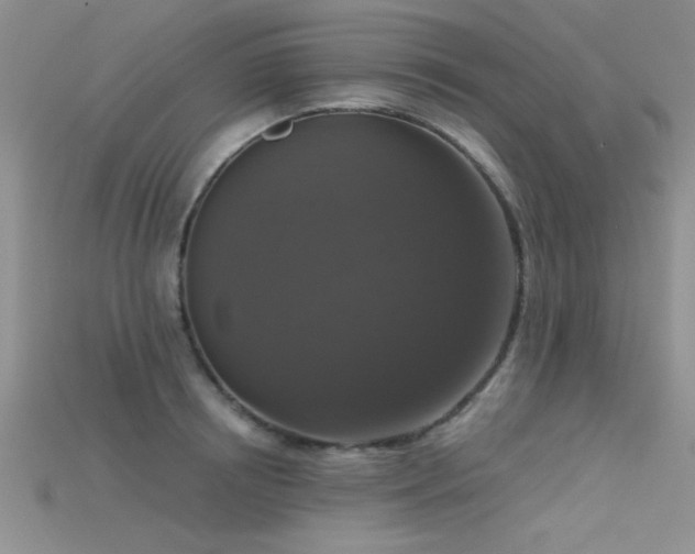 X0000115670850200911121151