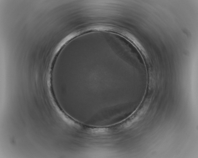 X0000115670853200911121151