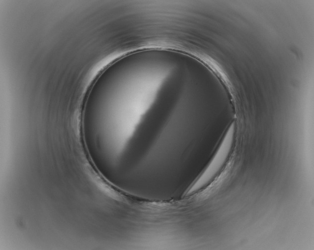 X0000115670854200911121151