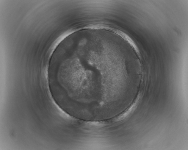 X0000115670855200911121151