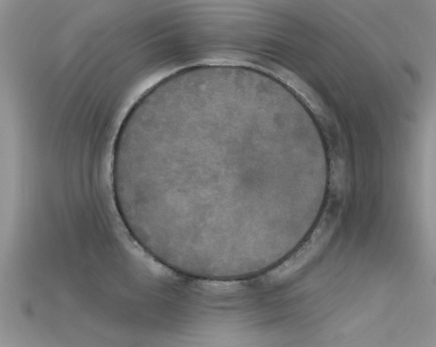 X0000115670856200911121151